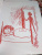 Анна Седокова: Я сильная. Я справлюсь. Автобиография Анны Седоковой