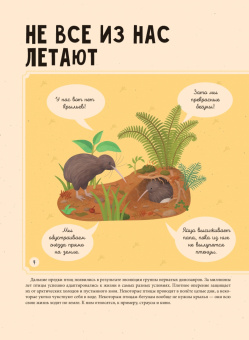 Томаш Тума: Птицы