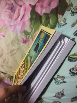 Карлос Сафон: Марина