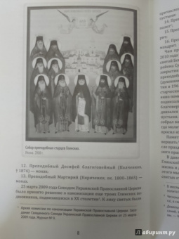 Протоиерей, Чесноков: Подвиг святой жизни. Святые старцы Глинской пустыни. XX век