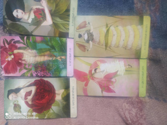 Катрин Вельц-Штайн: Оракул Мистических моментов, 52 карты