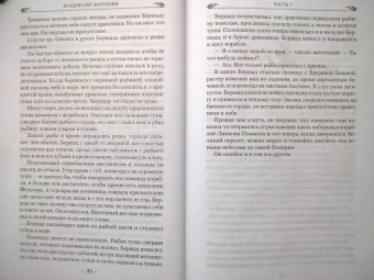 Брайан Наслунд: Драконы Терры. Книга 2. Колдовство королевы