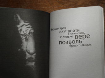 Беар Гриллс: Грязь, пот и слезы