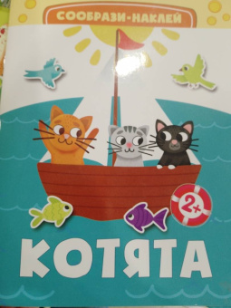 Котята