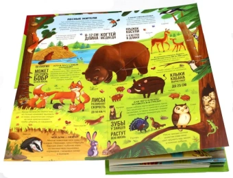 Ларичкина О.: Животные: книжка-трансформер