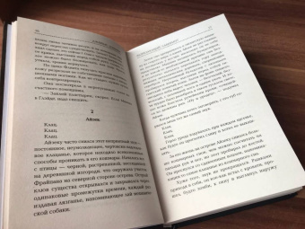 Джеймс Дэшнер: Разрезающий лабиринт