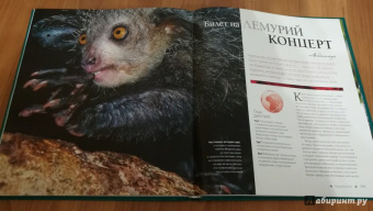 Марк Карвардайн: Большая книга путешествий по дикой природе