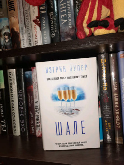 Кэтрин Купер: Шале