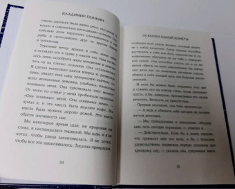 Владимир Понкин: Осколки одной кометы