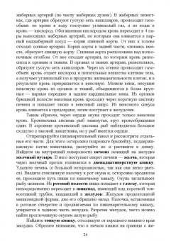 Гизатуллина, Макарова, Чернышова: Позвоночные животные. Учебное пособие