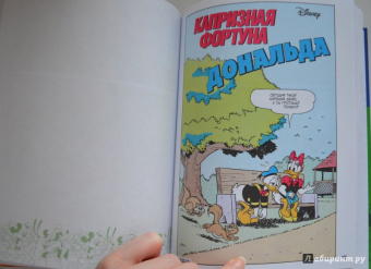 Консина, Кордара, Чимино: Дональд Дак. Невезучий, как я