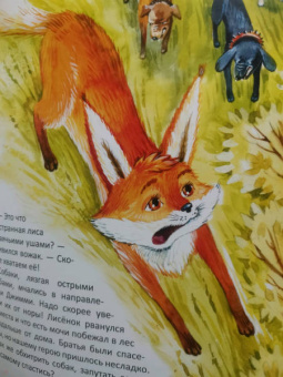 Сергей Духин: Приключения лисёнка Джимми. Маленький храбрец