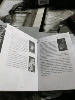 Вероника Темная: Лес Любви. Колода-оракул для сердечных вопросов. 50 карт и руководство для гадания в подар. футляре
