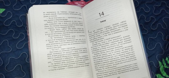 Пенелопа Дуглас: Дурное поведение