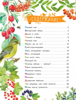 Николай Сладков: Лесные сказки