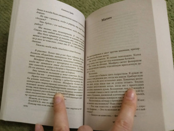 Камилла Гребе: Дневник моего исчезновения