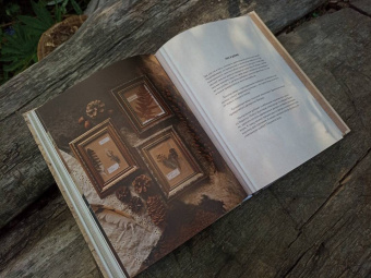 Елена Тын: Истории волшебного леса. Рецепты, рассказы, рукоделие и чудесные поделки, вдохновлённые природой