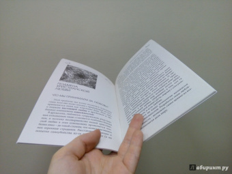 Дмитрий Семеник: Разобраться в себе. Как справиться с духовными проблемами