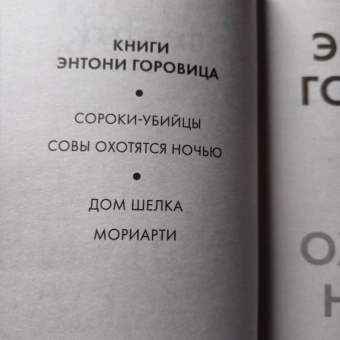 Энтони Горовиц: Совы охотятся ночью