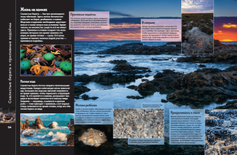 Анна МакРей: Океаны и моря. Виртуальная реальность