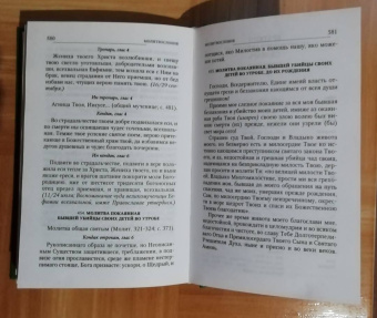 Таисия Олейникова: Святые, коим Господь даровал особую благодать исцелять болезни и подавать помощь в других нуждах