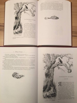 Лоренс Стерн: Сентиментальное путешествие по Франции и Италии. Илл. Морис Лелуар