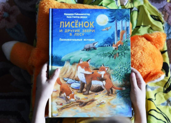 Фридерун Райхенштеттер: Лисёнок и другие звери в лесу. Познавательные истории