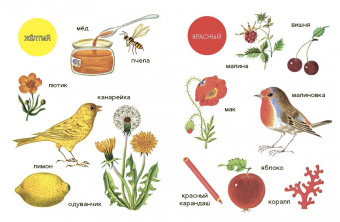 Елена Ивановская: Моя первая книжка о цвете