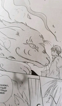 Юки Мидорикава: Тетрадь дружбы Нацумэ. Том 1