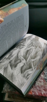 Мэрион Брэдли: Туманы Авалона. Том 1