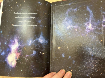 Косухина, Шкутова: Звездный отбор. Как украсть любовь