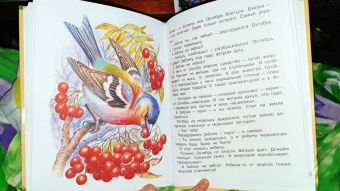 Паустовский, Бианки, Сладков: Лучшие сказки про зверей