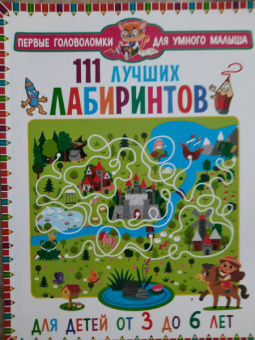 111 лучших лабиринтов. Для детей от 3 до 6 лет