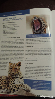 Скалдина, Слиж: Красная книга. Животные мира