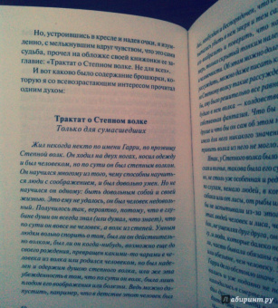 Герман Гессе: Степной волк