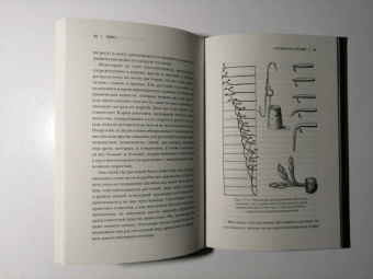 Манкузо, Виола: О чем думают растения. Тайная жизнь, скрытая от посторонних глаз