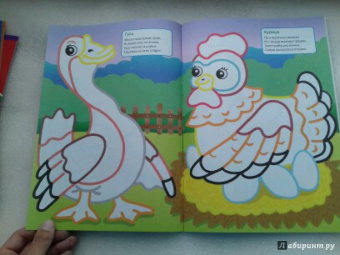 Сенчищева, Корнеева, Громова: Домашние животные