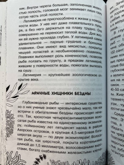 Борис Сергеев: Тайны океана