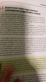 Игорь Ефимов: proВНИМАНИЕ