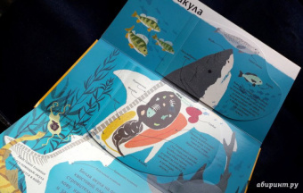 Боманн, Дюпон: Животные снаружи и внутри