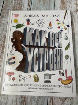 Дэвид Маколи: Как все устроено