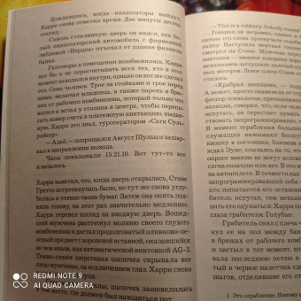 Ю Несбё: Немезида