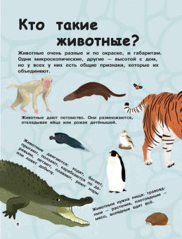 Стив Паркер: Дикие животные. Отправляйтесь в удивительный мир!