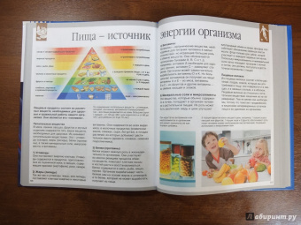 Буэ, Симон: Тело человека