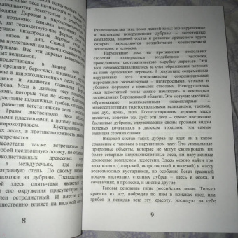 Иван Дубровин: Лес – кормилец