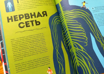 Макс Пембертон: Тело человека. Как работает наш удивительный организм