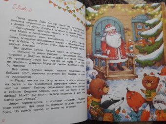 Ирина Муковникова: Новогодняя пропажа. Пушистый детектив