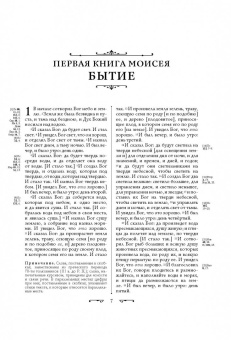 Библия. Книги Священного Писания Ветхого и Нового Завета (бордо)