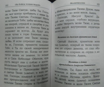 "Не бойся, только веруй!". Как молиться за детей. С наставлениями и советами для родителей