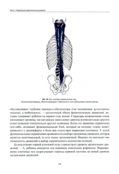 Лупандина-Болотова, Клочкова: Не сидит, не ползет. Что делать? Рекомендации для специалистов и родителей малышей